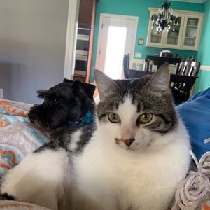 Meet your Posher, Abby